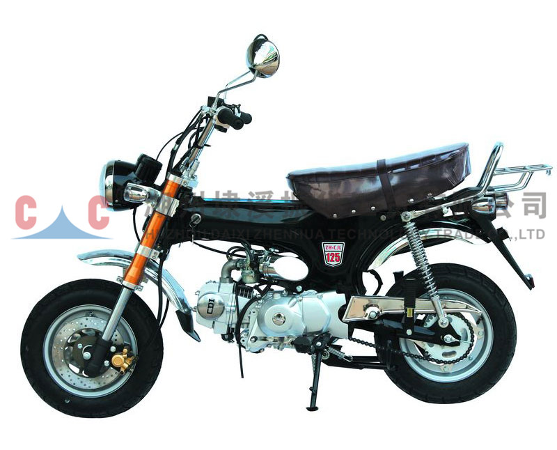 CJLA Garantierte Qualität, einzigartige Motorräder für Erwachsene mit Benzinmotor
