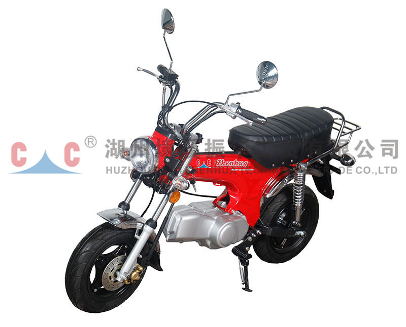 CJL Garantierte Qualität, einzigartige Motorräder für Erwachsene mit Benzinmotor