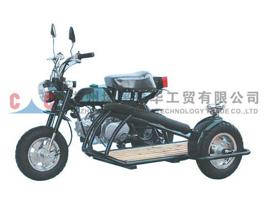 Motorrad mit drei Rädern-ZH-A3L