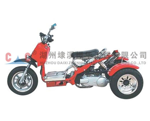 Motorrad mit drei Rädern-ZH-Z3L Weit verbreitetes neues gasbetriebenes Benzinmotorrad mit hoher Qualität