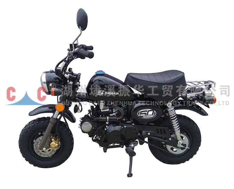 SR Fashion Beliebte Benzin-Tourenmotor 50ccm Motorräder