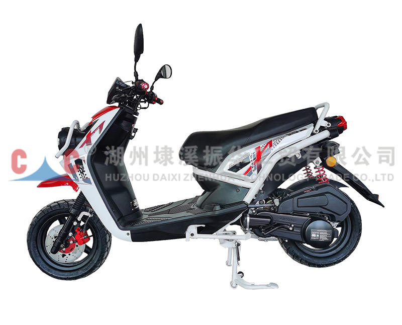 DWS Großhandel kundenspezifische Benzinpumpe China Hersteller Motorradträger
